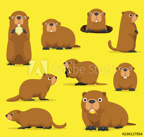 500x475 Groundhog Chuck Woodchuck Groundpig Whistlepig Cute Cartoon Vector
