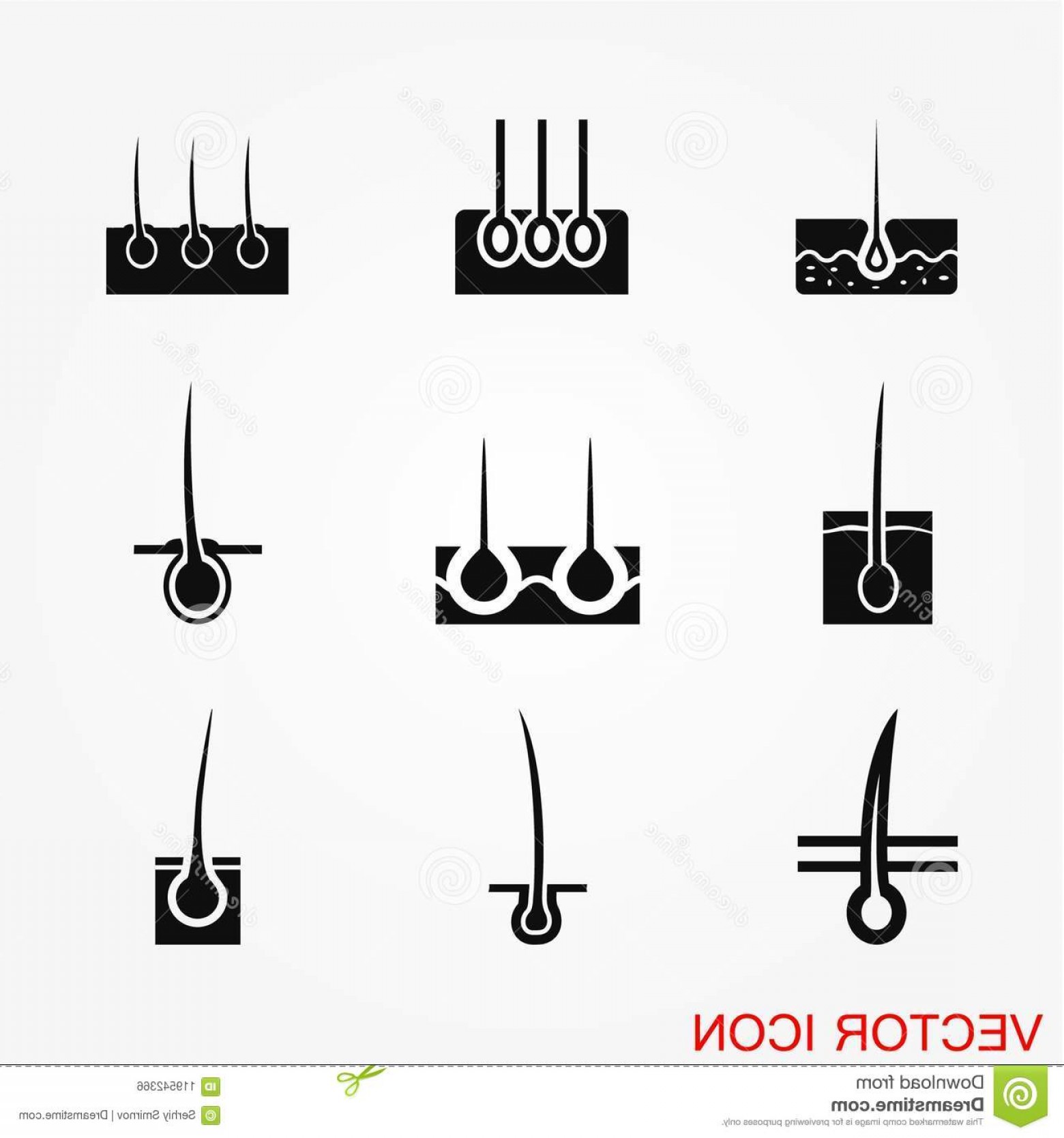 1560x1668 Hair Icon Vector Isolated Human Removal Grow Medical Bulb Image