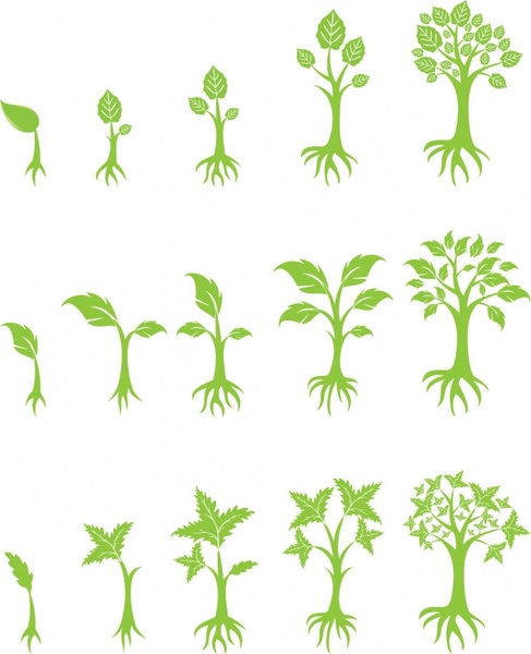 487x600 Tree Growing Free Vector In Adobe Illustrator