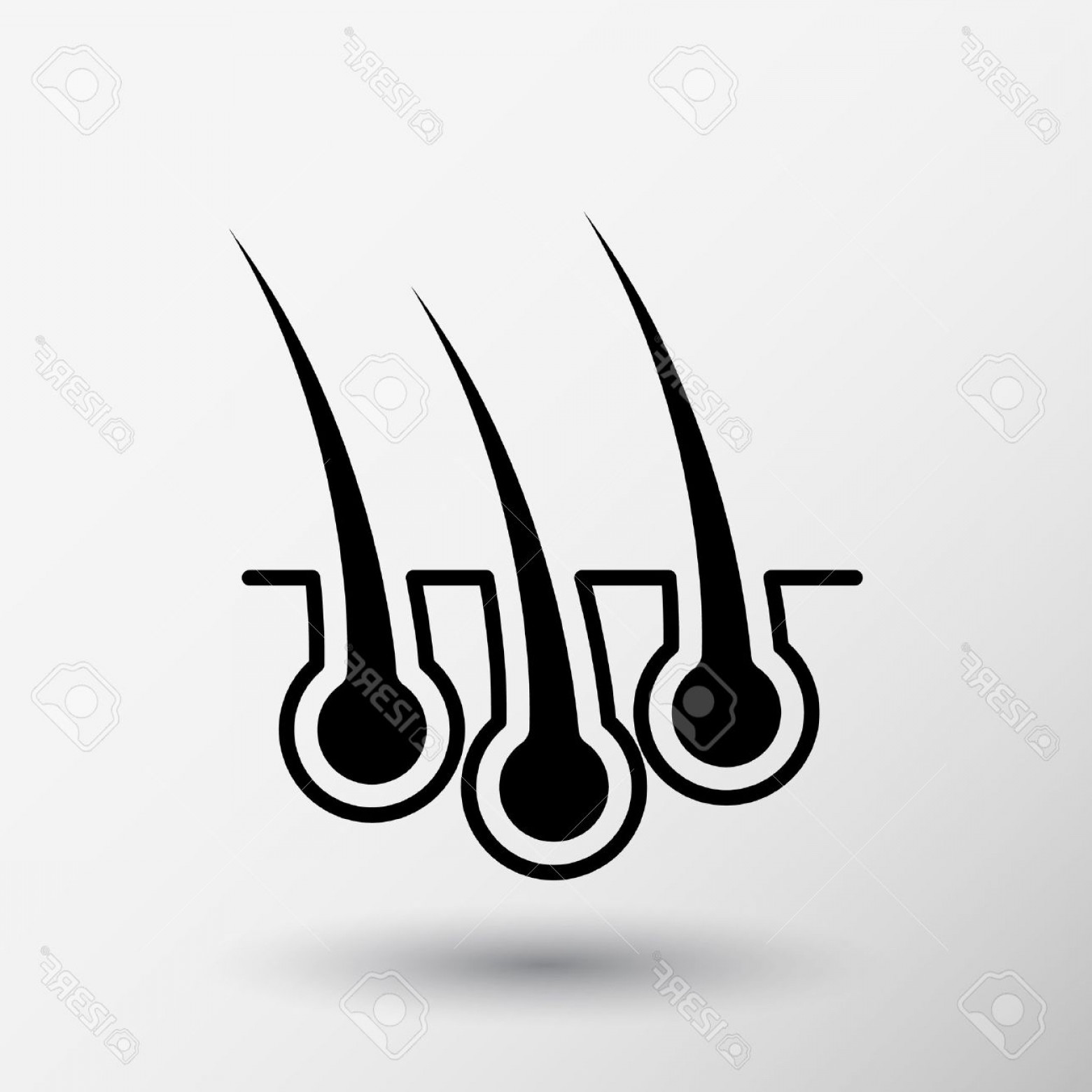 1560x1560 Vector Hair Grow Sarahgardan