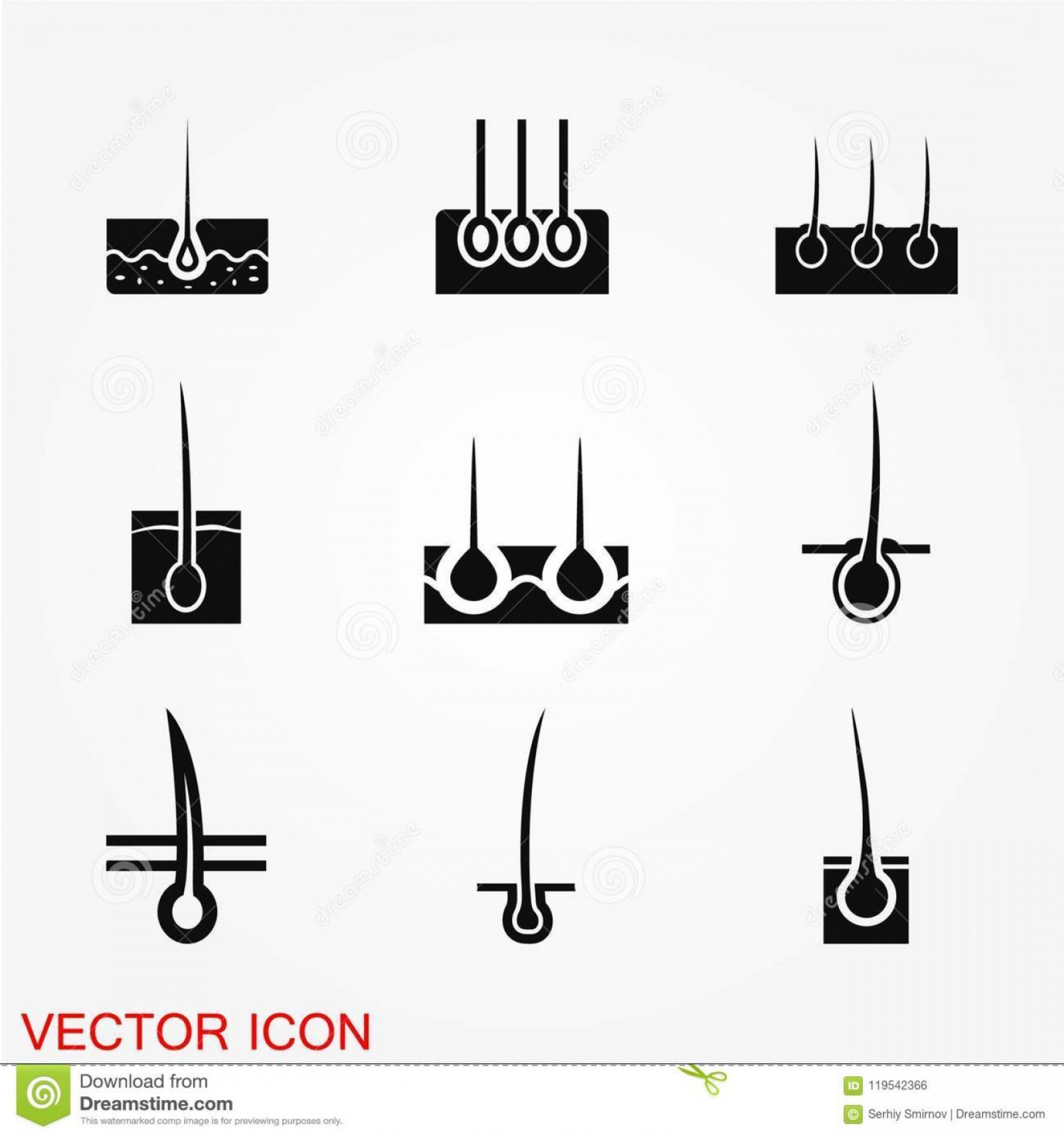 1872x2001 Vector Hair Grow Savoyuptown