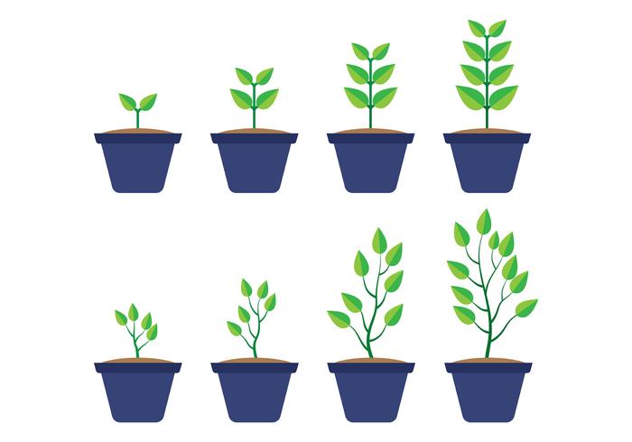 700x490 Grow Free Vector Art