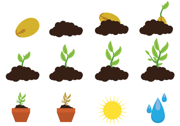 632x443 Grow Up Plant Icon Vector Free Vector Download Cannypic