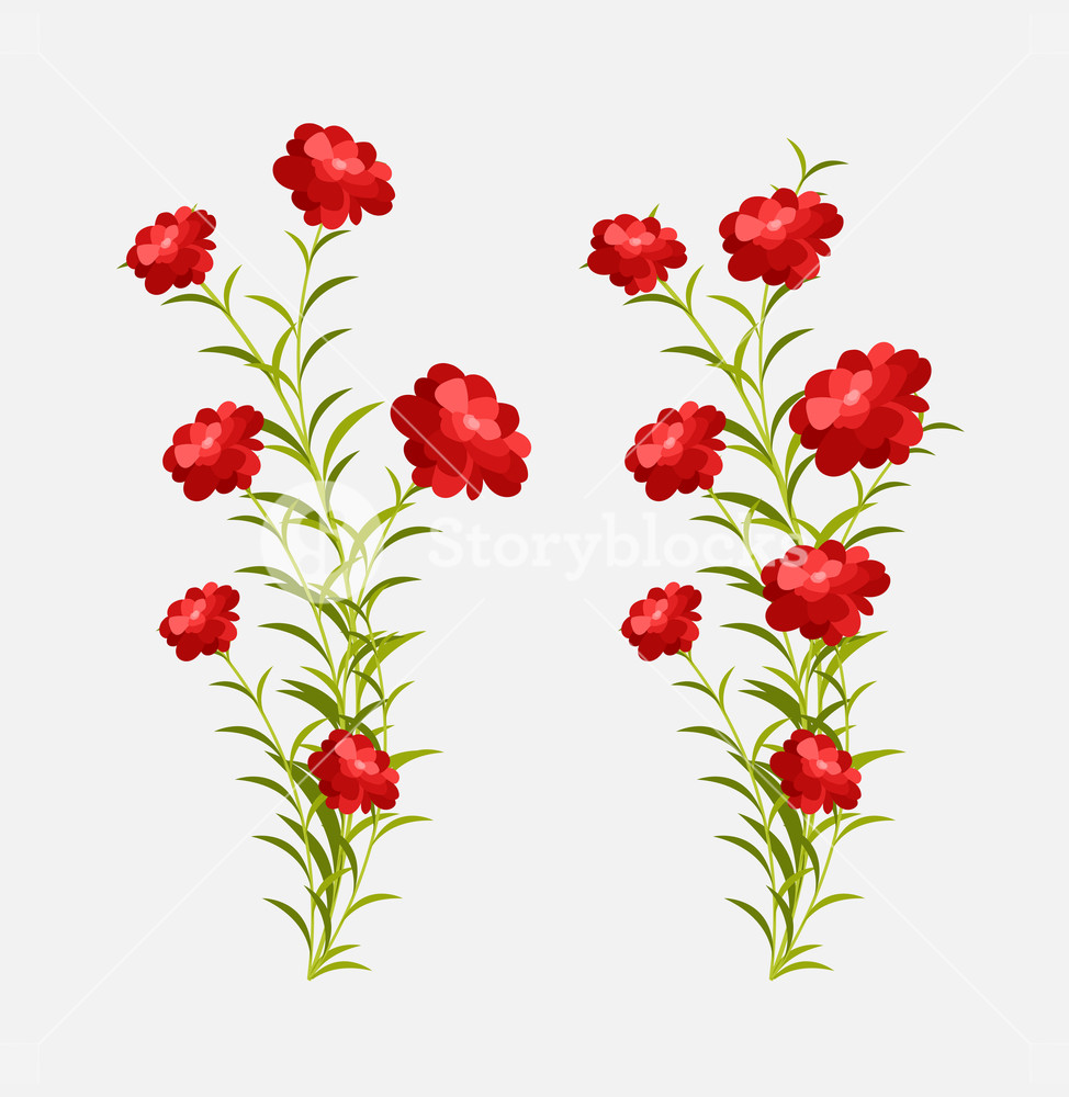 974x1000 Growing Flowers Plants Vector Illustration Royalty Free Stock