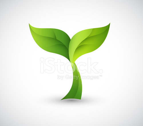 500x439 Growing Plant Vector Illustration Stock Vector