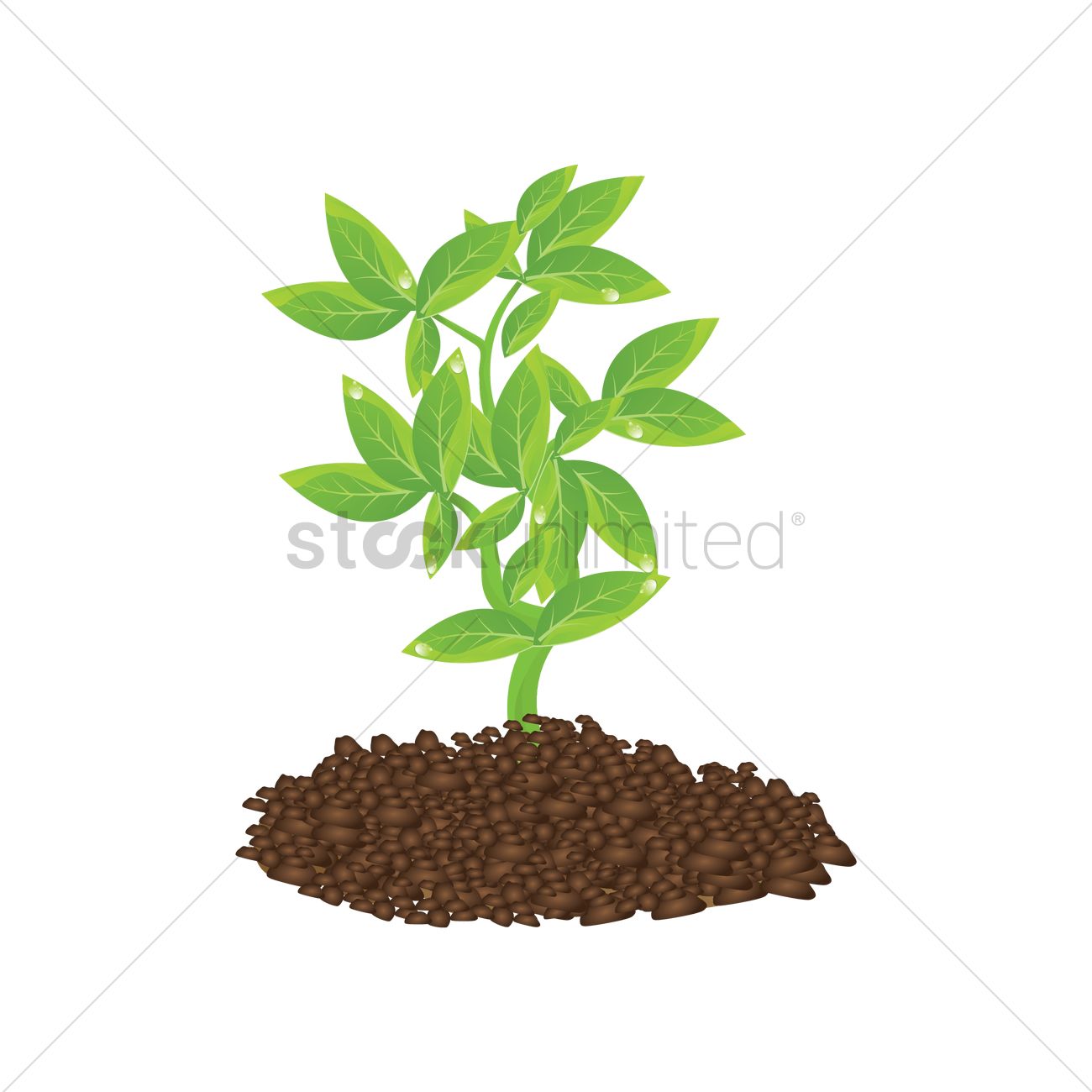 1300x1300 Growing Plant Vector Image
