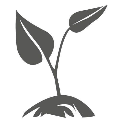 512x512 Growing Plant Icon