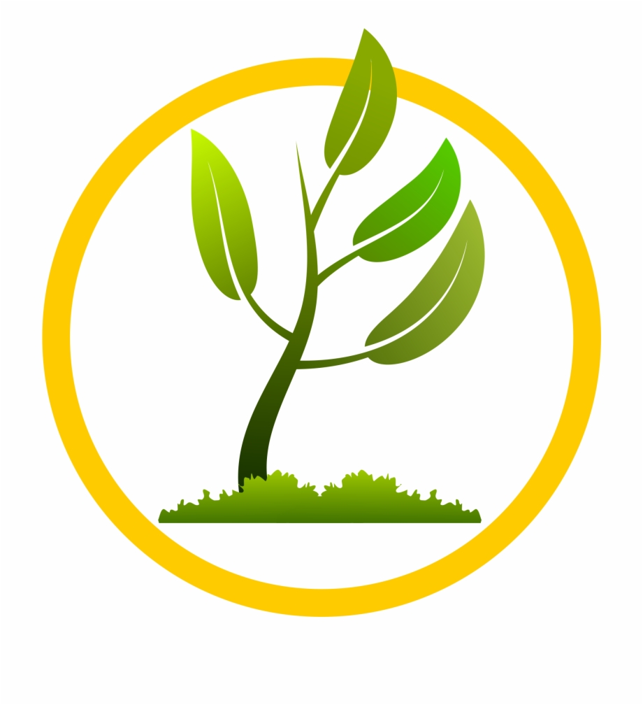 920x1008 Image Black And White Big Image Png