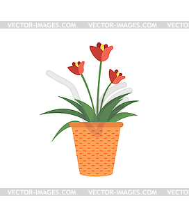 272x300 Red Flowers In Pot Garden Growing Plants