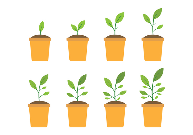 632x443 Free Grow Up Plant Icons Free Vector Download Cannypic