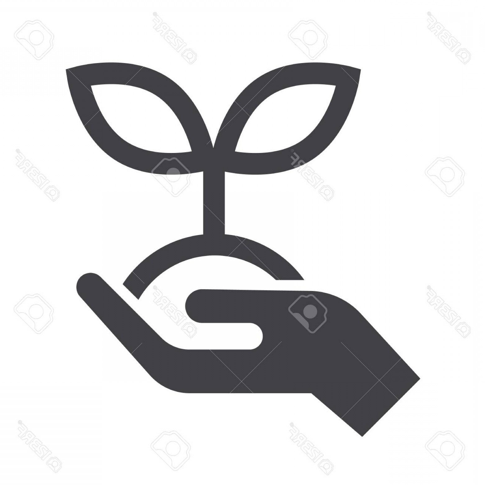 1560x1560 Photostock Vector Vector Black Growth Icon On White Background