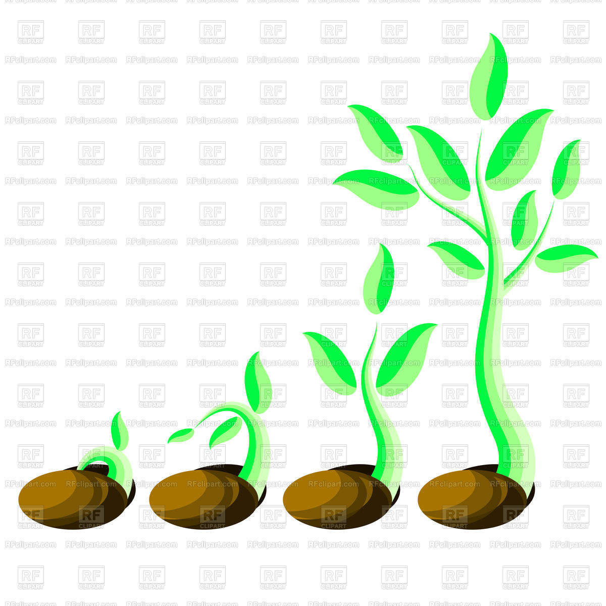Phases Plant Growth Vector Image Of Plants And Animals 1200x1200 Phases Plant Growth Vector Image Of Plants And Animals