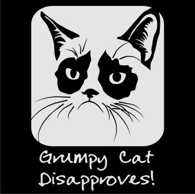 400x399 Grumpy Cat