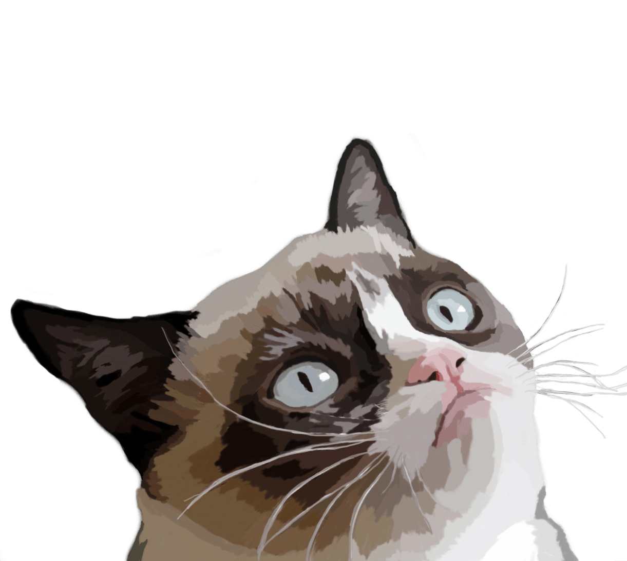 Grumpy Cat Vector At Collection Of Grumpy Cat Vector