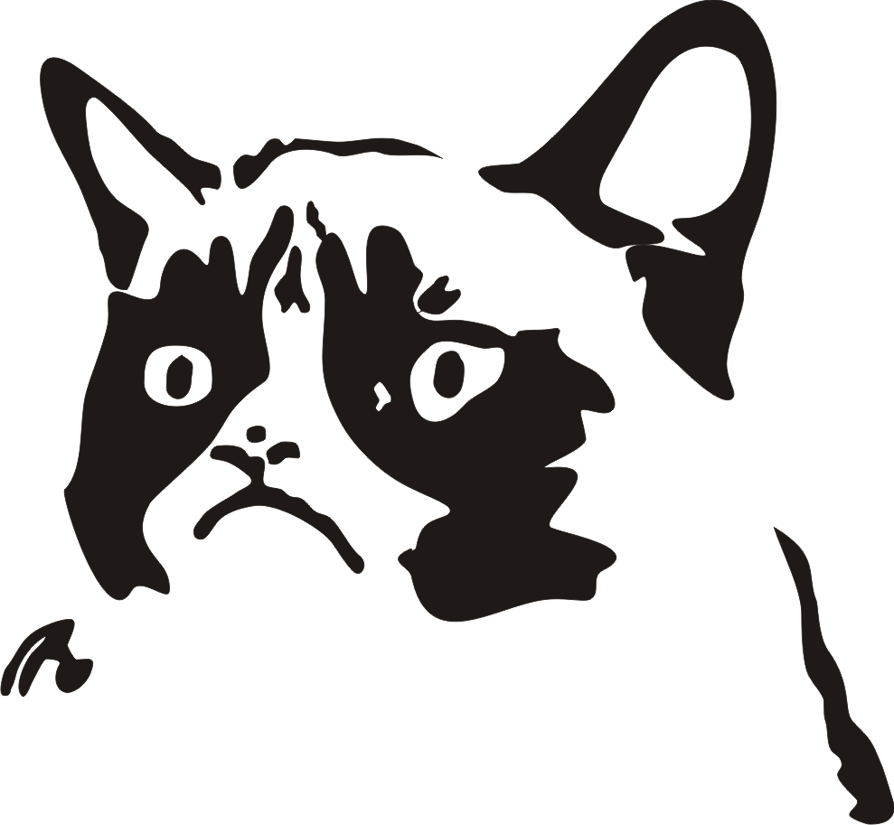 989x913 Grumpy Cat Vector Free Qvolta Questions Grade