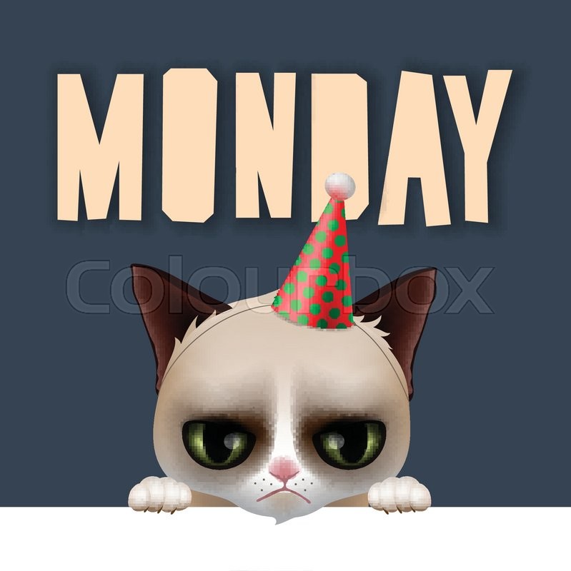 799x800 Monday Morning With Cute Grumpy Cat, Stock Vector Colourbox