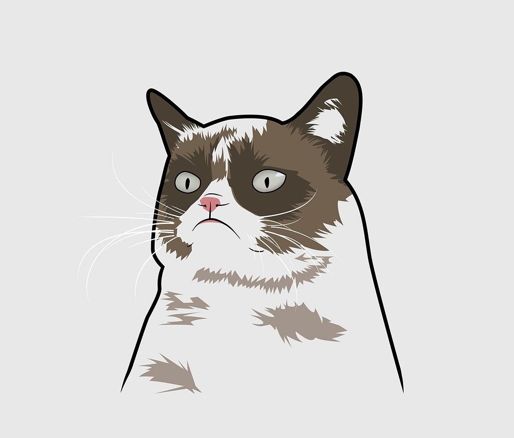 Grumpy Cat Vector At Collection Of Grumpy Cat Vector