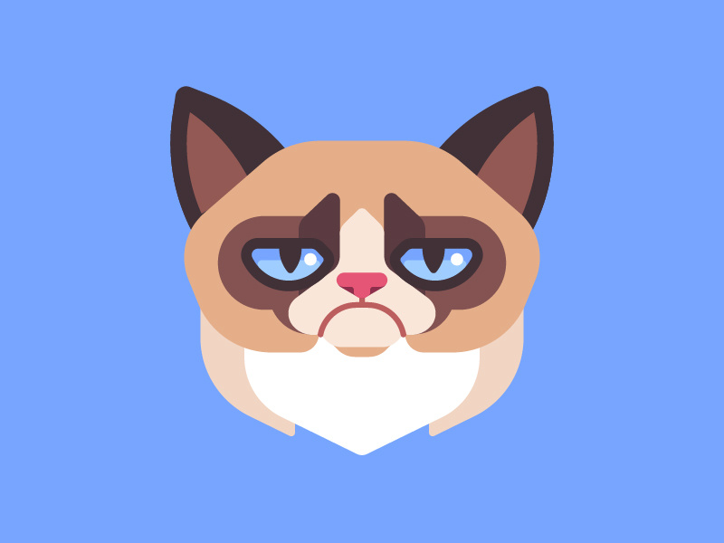 Кот хмурый рисунок