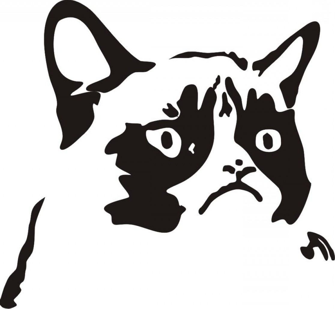 1116x1030 Tard The Grumpy Cat Vectorized Newwaysys