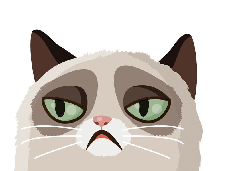 Grumpy Cat Vector At Collection Of Grumpy Cat Vector