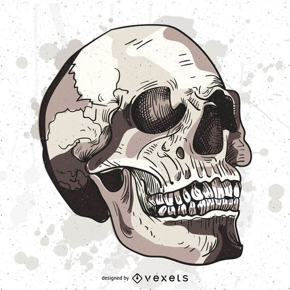 570x570 Grunge Skull Illustration