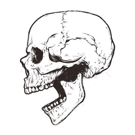 450x450 Anatomic Grunge Skull Vector Art Detailed Hand Drawn Illustration