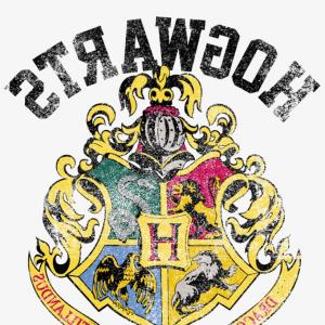 300x300 Slyther Slytherin Logo Potter Catamart