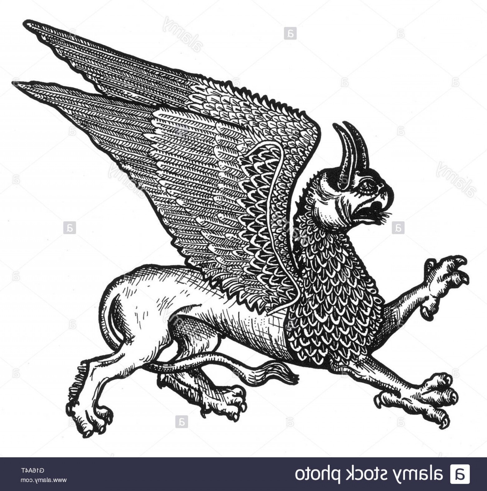 1560x1573 Stock Photo The Griffin Is A Legendary Creature With The Body Tail