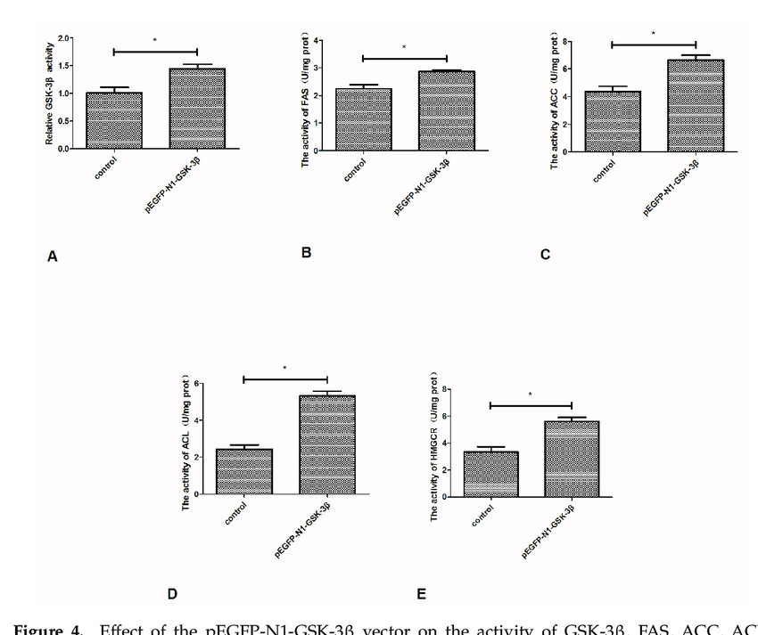 850x713 Effect Of The Pegfp Gsk Vector On The Activity Of Gsk