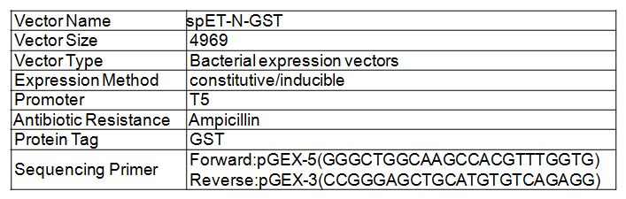 E Coli Expression Vector Construction Service Spet N Gst Vector 707x225 E Coli Expression Vector Construction Service Spet N Gst Vector