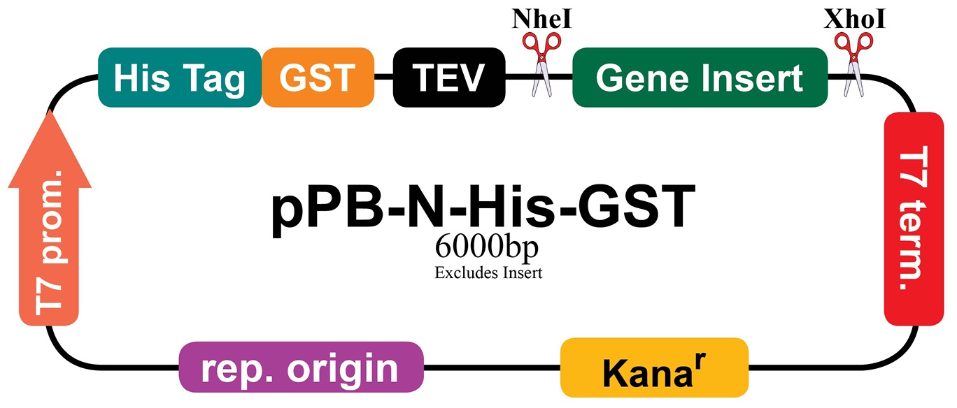 Ppb His Gst Vector Map Abm Inc 1368x584 Ppb His Gst Vector Map Abm Inc
