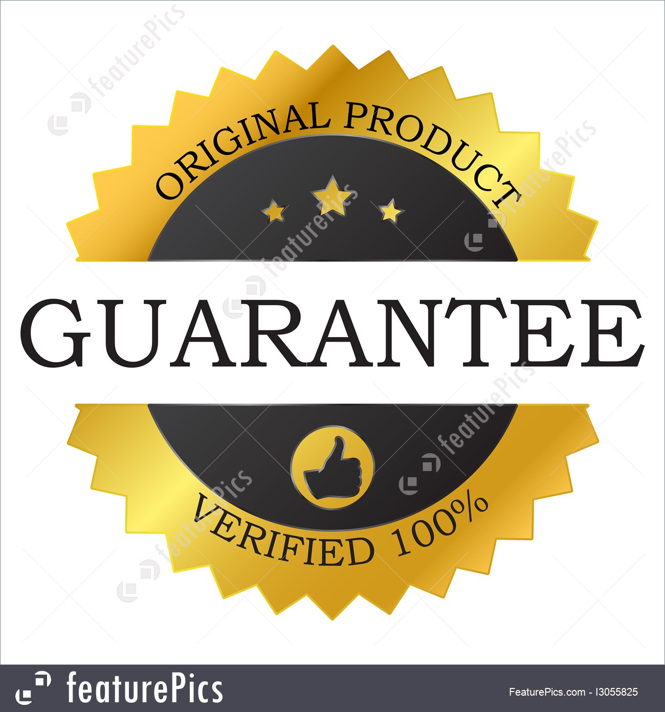 1300x1392 Guarantee Vector Label