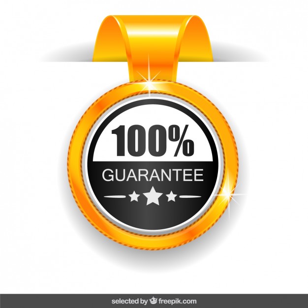 626x626 Medal Guarantee Vector Free Download