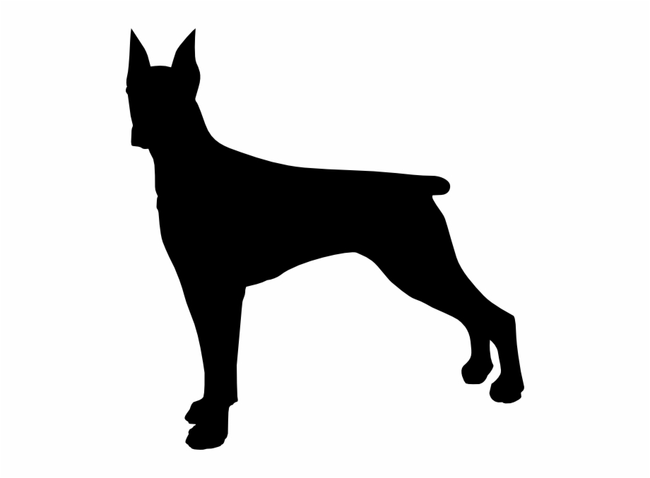 920x677 Dog Vector Png Transparent Background