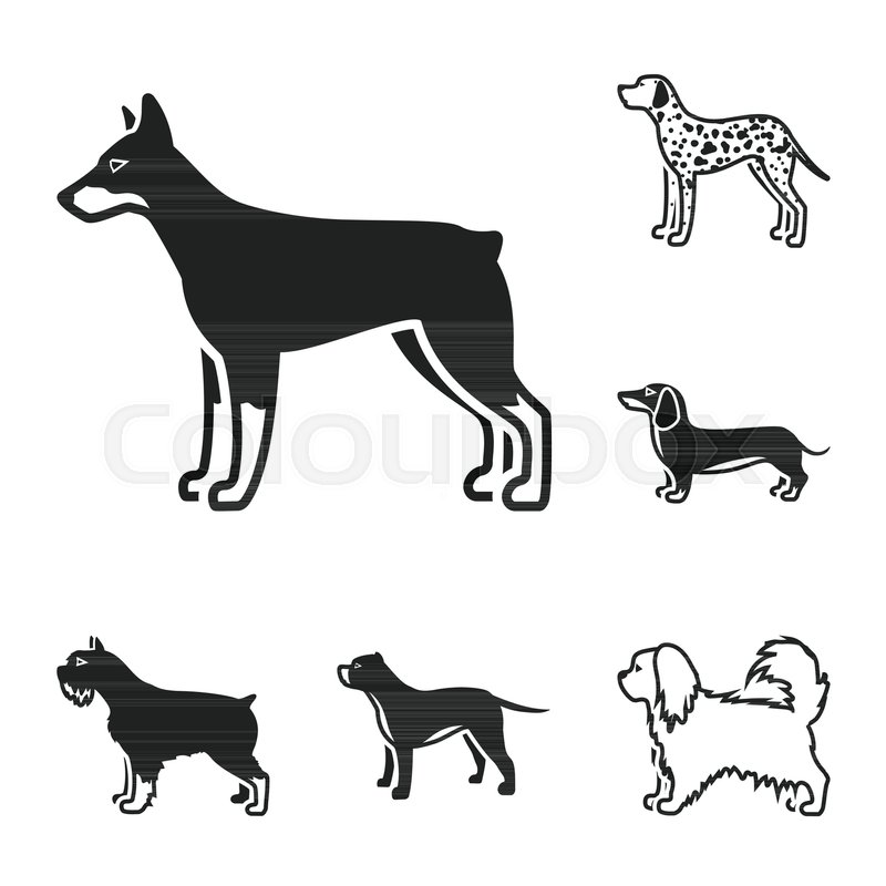 800x800 Dog Breeds Black Icons In Set Stock Vector Colourbox