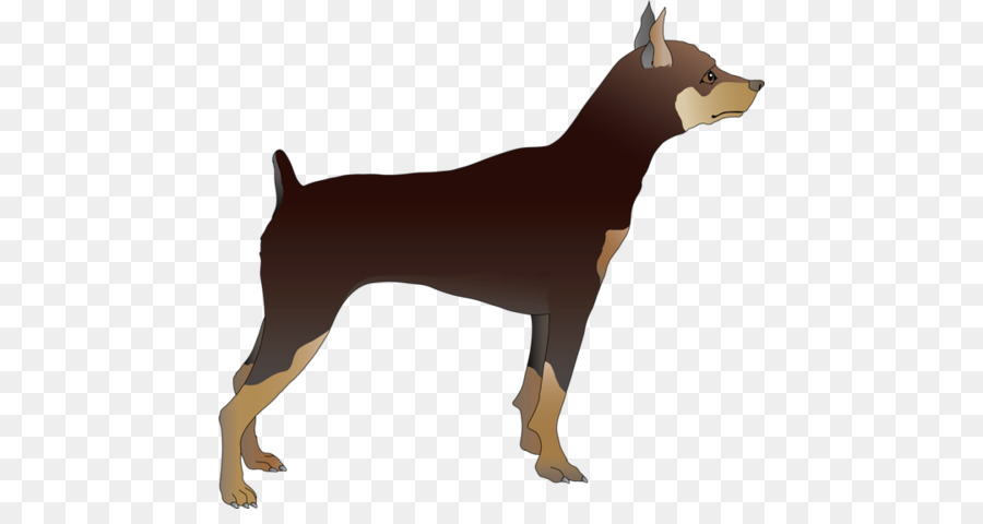 900x480 Animal Cartoon Clipart