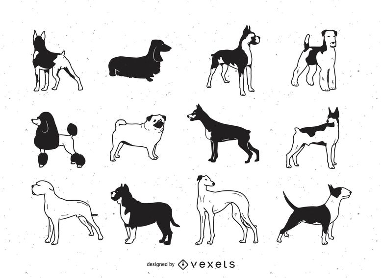 779x570 Free Vector Dogs
