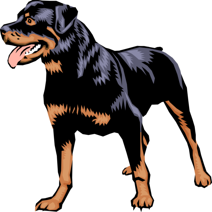 702x700 Hd Vector Illustration Of Family Pet Rottweiler Guard Transparent