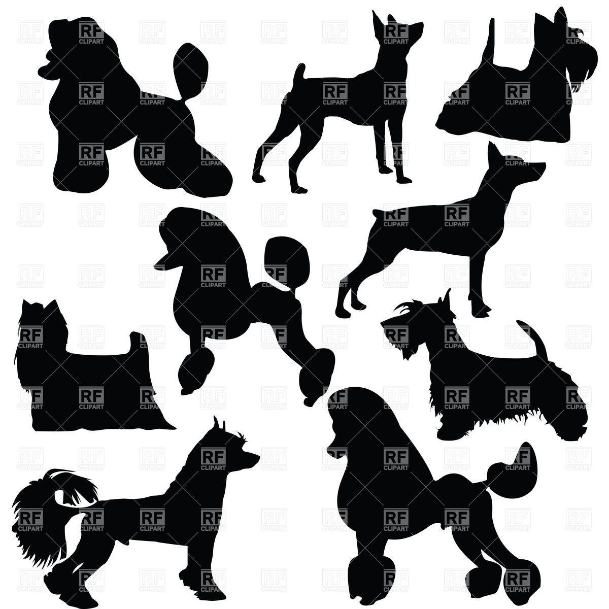 1200x1200 Set Of Silhouettes Of Standing Decorative Dogs Vector Image