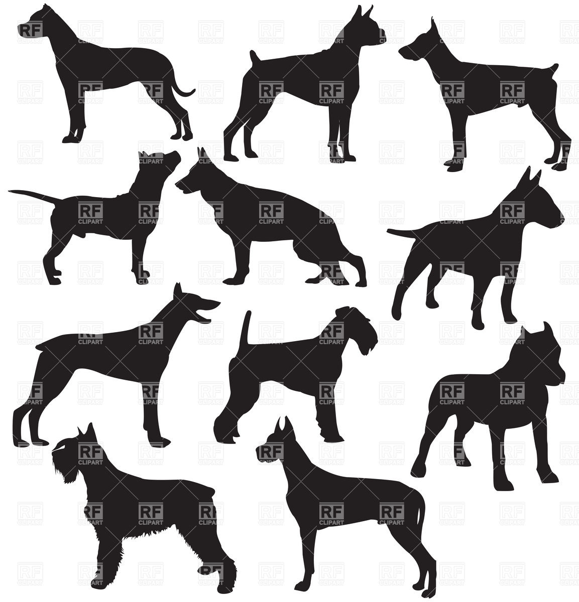 1153x1200 Set Of Sillhouttes Of Standing Working Dogs Vector Image Of Plants