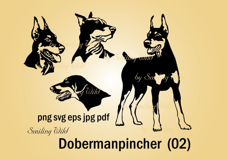 794x562 The Doberman Clipart Doberman Pinscher Dog Vector Graphic Etsy