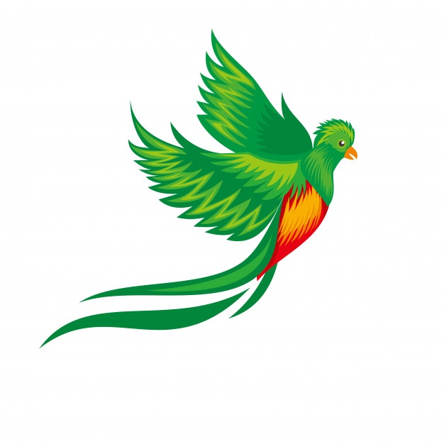 626x626 Guatemala Vectors, Photos And Free Download