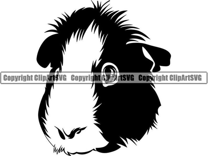 Download Guinea Pig Silhouette Vector at Vectorified.com ...