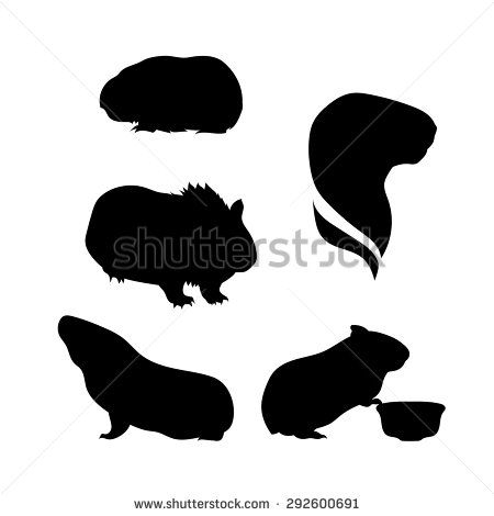 450x470 Guinea Pig Silhouette Stock Vectors Vector Clip Art