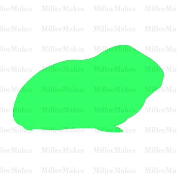 570x570 Guinea Pig Silhouette Vector Guinea Pig Clipart Cricut Etsy