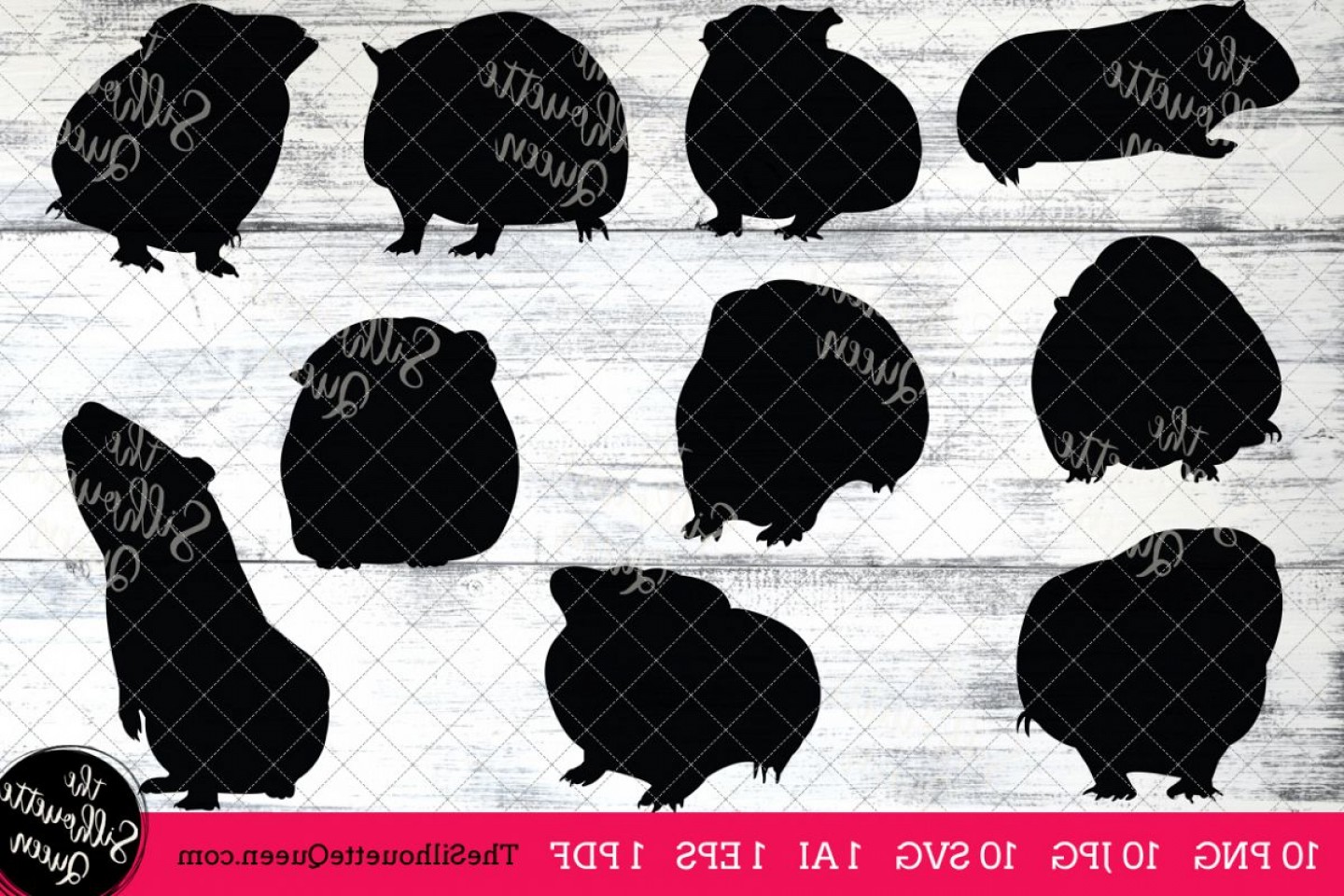 1440x960 Guinea Pig Transparent Vector Hoodamathrun