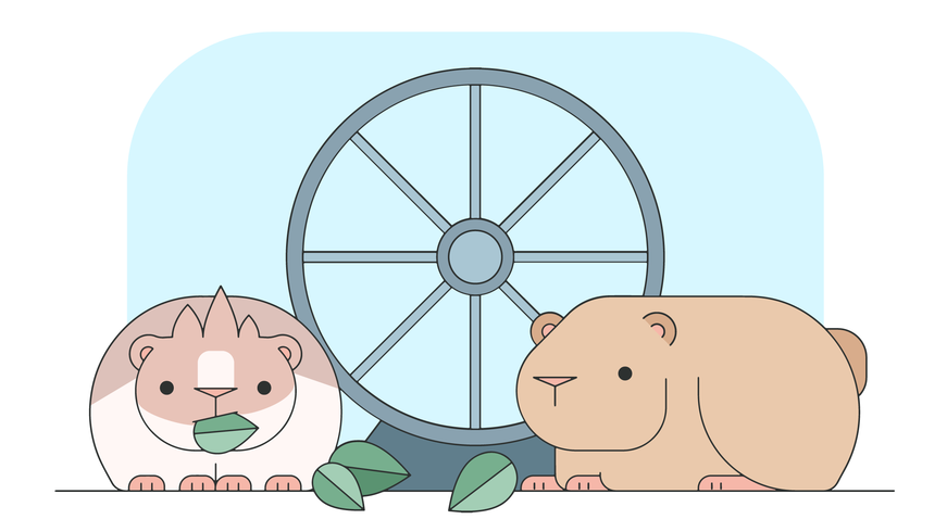 871x490 Guinea Pig Vector