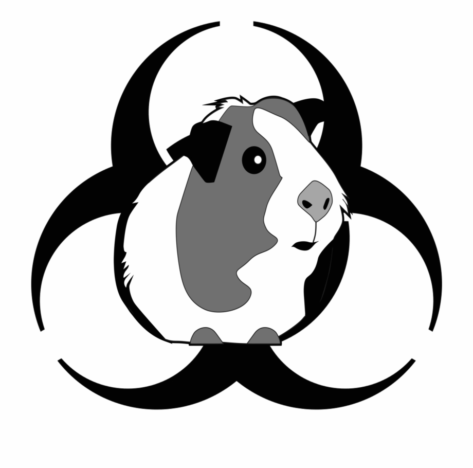 Download Guinea Pig Silhouette Vector at Vectorified.com ...