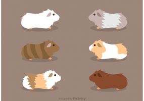 Guinea Pig Silhouette Vector at Vectorified.com | Collection of Guinea ...