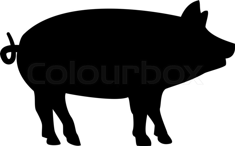800x499 Pig Silhouette Stock Vector Colourbox